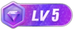 LV5 等级-LV5-流浪源码网