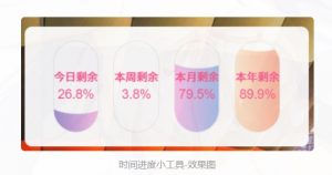 wordpress优雅的时间胶囊进度小工具-流浪源码网